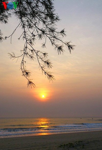 Primary beauty of Hoanh Son Beach  - ảnh 2